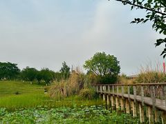 -桂溪生态公园