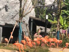 -武汉动物园