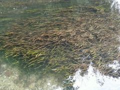 -贵阳市花溪国家城市湿地公园