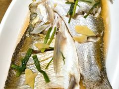 -观桥阁(锦溪店)