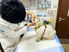 -美联众合动物医院·24h转诊中心