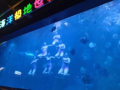 -蓬莱欧乐堡海洋极地世界