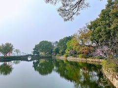-无锡蠡湖国家湿地公园-蠡园