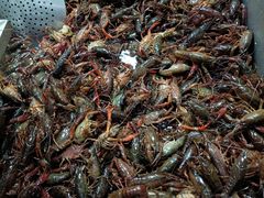 -拙味兄弟龙虾·江湖菜(和畅堂店)