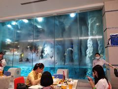 大堂-帝企鹅自助餐厅•儿童岛•真企鹅(长隆企鹅酒店)