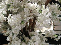 -茉莉餐厅(亳州高新万达广场希夷大道店)