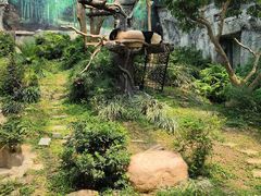 -石排湾郊野公园