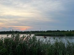 -春花秋色城市公园