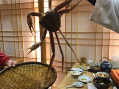 -隐泉京望日式料理(太和广场店)