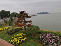 -巢湖姥山岛