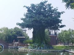 -东台西溪天仙缘景区