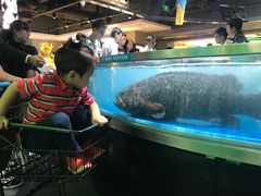 -盒马鲜生(杭州运河上街店)