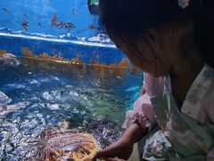 -烟台海昌鲸鲨海洋公园