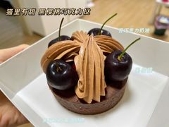 黑樱桃巧克力塔-猫里有甜
