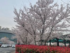 -KOMUGI 小麦家(新地假日广场店)
