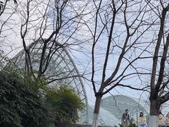 -南山植物园