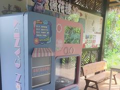 -海南热带野生动植物园