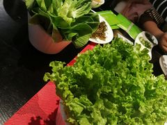 -食鲜捞火锅(湖西路店)