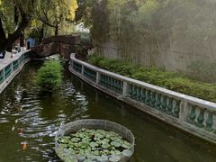 -碧江金楼