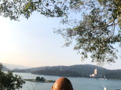 -金盆阿嬷香菇茶叶蛋(玄光店)