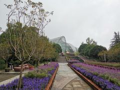 -南山植物园