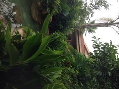 -稷泽·海丽宾雅温泉度假酒店