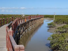 -北海金海湾红树林生态旅游区