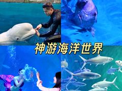 -威海华夏城景区