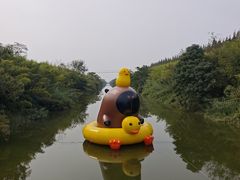 -黄海国家森林公园