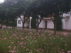 android_upload_pic-永记生态园