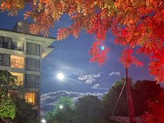 -九龙湾·御膳坊(九龙窠路店)