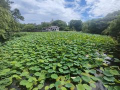 -范蠡湖公园