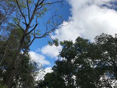-大鹅岛灶台鱼·铁锅炖(水库路店)