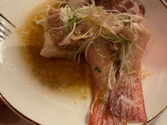 相思籽蒸东星斑-三号黄浦会Canton Table