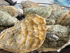 原只蒸生蚝-嘉升大排档(番禺总店)