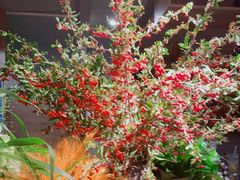 -春暖花开(西溪店)