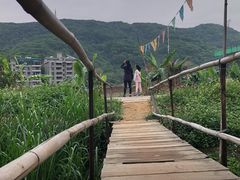 -广州市帽峰山景区
