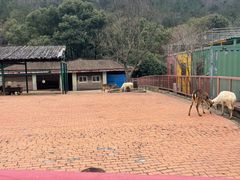 -无锡动物园·太湖欢乐园
