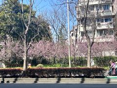 -桃浦新村(地铁站)