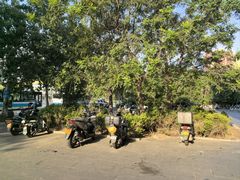 -呼家楼(地铁站)