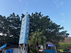 -亚龙湾海底世界