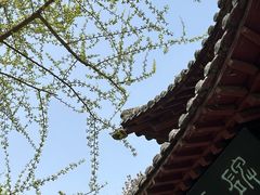 -碑林公园