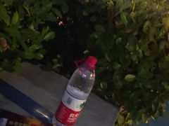 -上海波特曼丽思卡尔顿酒店