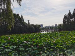 -黄兴公园