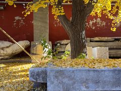 -北京石刻艺术博物馆(五塔寺)