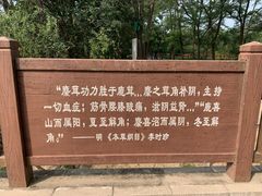 -北京麋鹿生态实验中心
