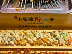 -福苗小骆驼烧烤(莲湖路店)