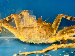 -北京华联生活超市(庄河世纪海云天店)