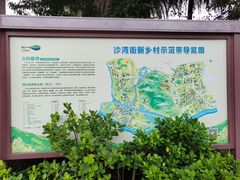 -滴水岩森林公园