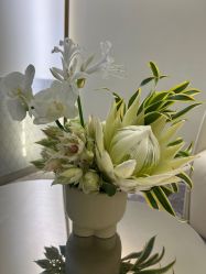 -明潪Selfology升维护理中心